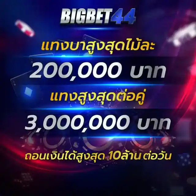 promotion จัดเต็มทุกระบบ